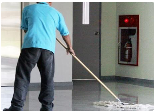 Cleaning Services in Kolkata, West Bengal: What to Look For